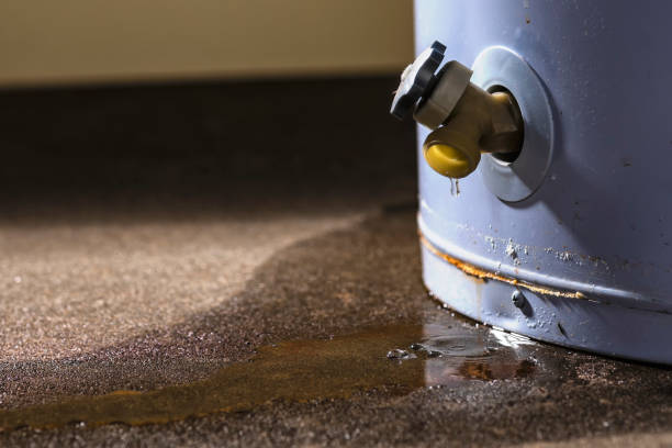 Best Water damage restoration mold remediation  in Ore City, TX