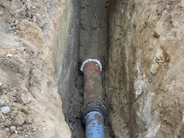 Best Professional water damage repair  in Ore City, TX