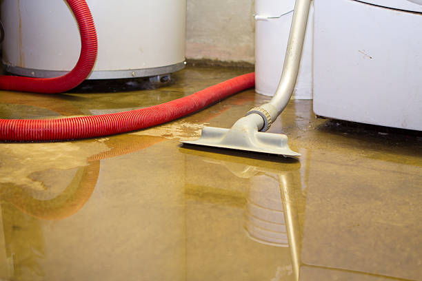 Best Ceiling water damage repair  in Ore City, TX