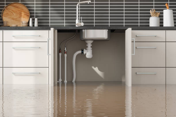 Best Flood damage cleanup  in Ore City, TX